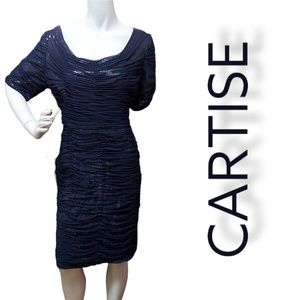 Cartise Navy Blue Dress Size 14
